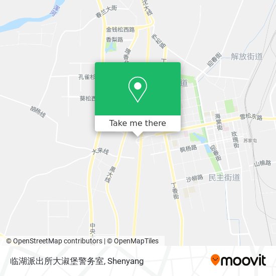 临湖派出所大淑堡警务室 map