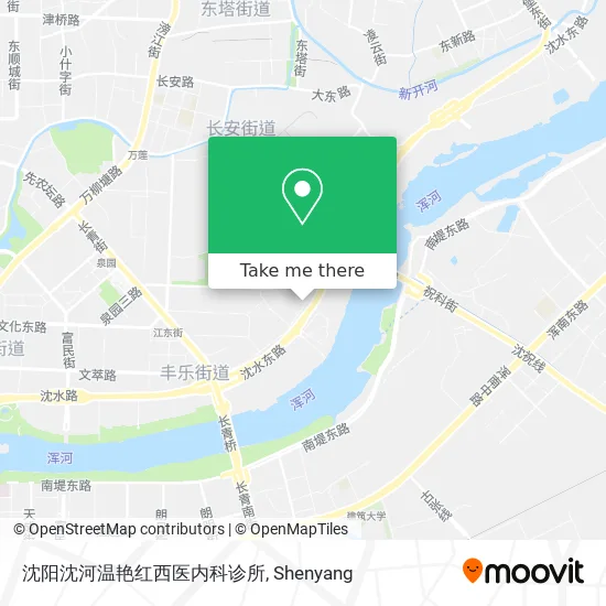 沈阳沈河温艳红西医内科诊所 map