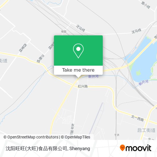 沈阳旺旺(大旺)食品有限公司 map