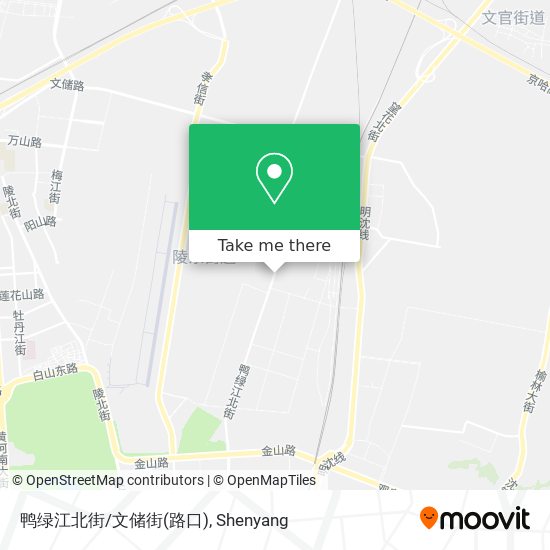 鸭绿江北街/文储街(路口) map