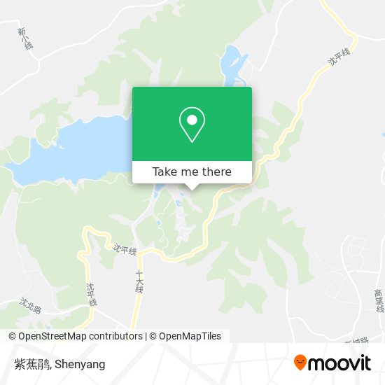 紫蕉鹃 map