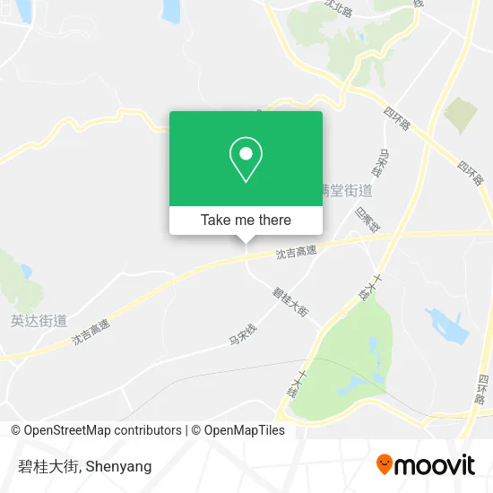 碧桂大街 map