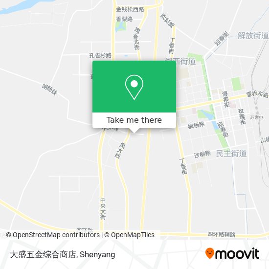 大盛五金综合商店 map