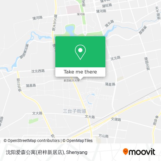 沈阳爱森公寓(府梓新居店) map