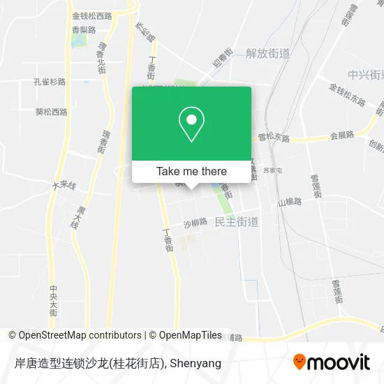 岸唐造型连锁沙龙(桂花街店) map