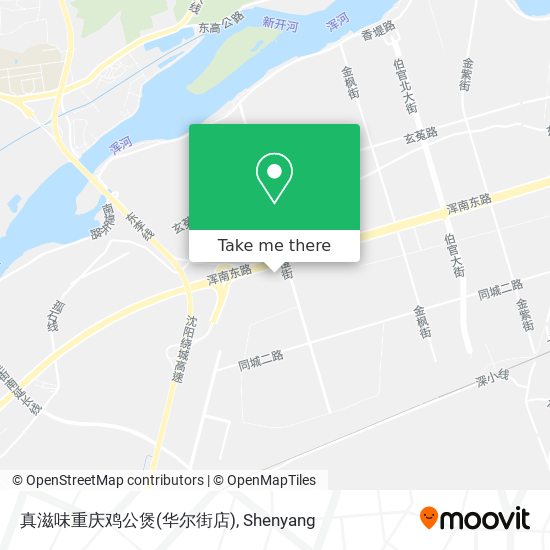 真滋味重庆鸡公煲(华尔街店) map