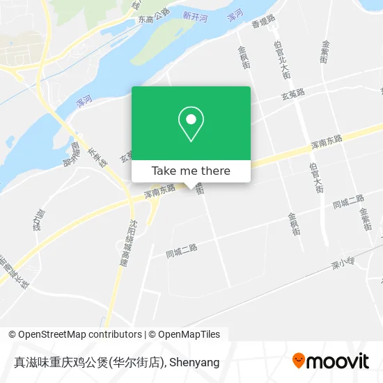 真滋味重庆鸡公煲(华尔街店) map