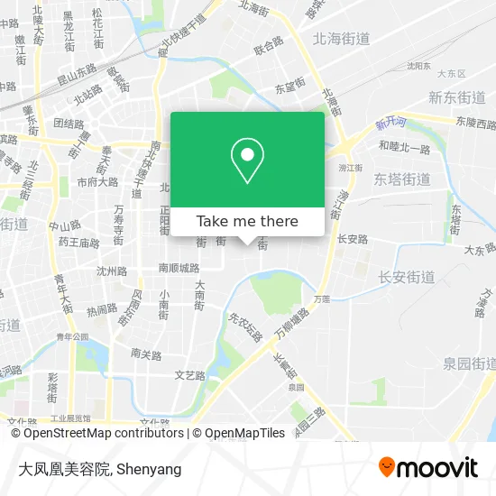 大凤凰美容院 map