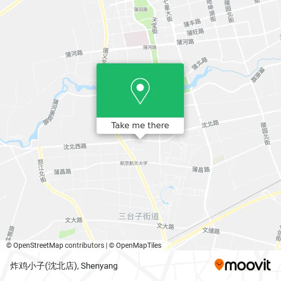 炸鸡小子(沈北店) map