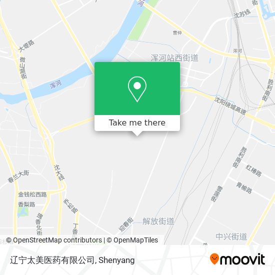 辽宁太美医药有限公司 map