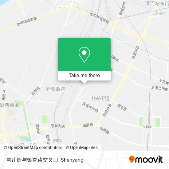 雪莲街与银杏路交叉口 map
