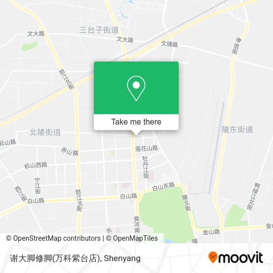 谢大脚修脚(万科紫台店) map