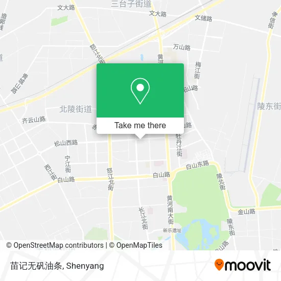 苗记无矾油条 map