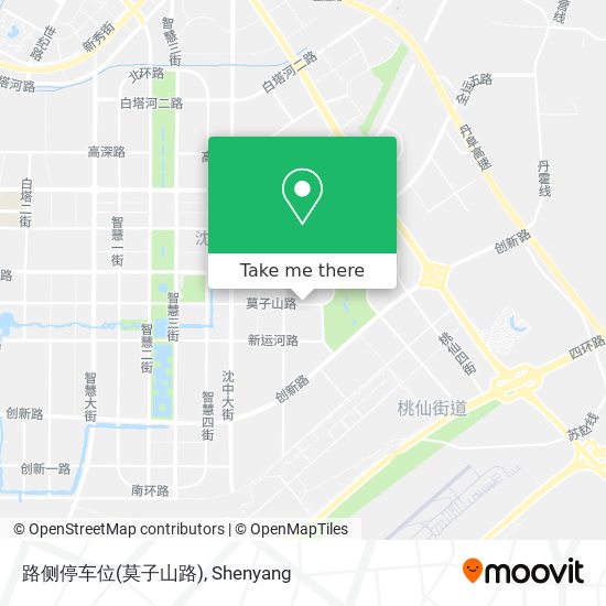 路侧停车位(莫子山路) map