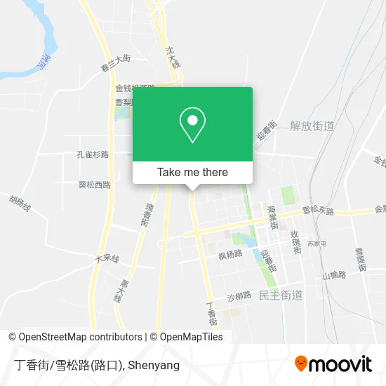 丁香街/雪松路(路口) map