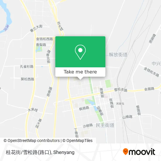 桂花街/雪松路(路口) map