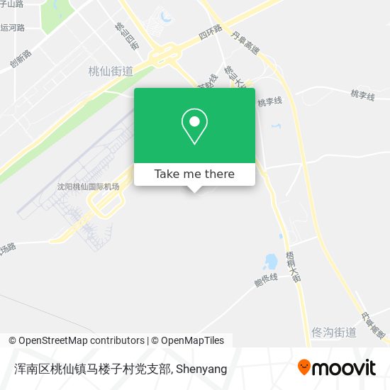 浑南区桃仙镇马楼子村党支部 map