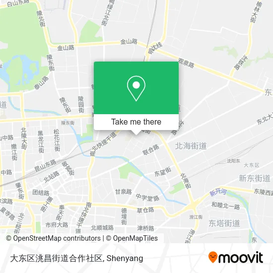 大东区洮昌街道合作社区 map