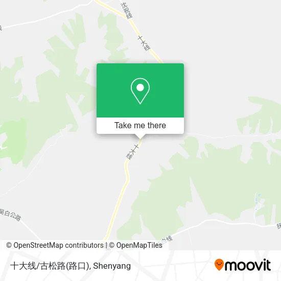 十大线/古松路(路口) map