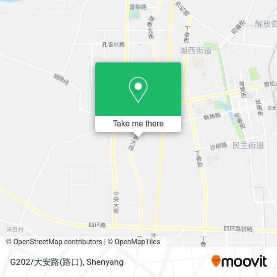 G202/大安路(路口) map