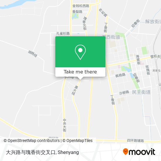 大兴路与瑰香街交叉口 map