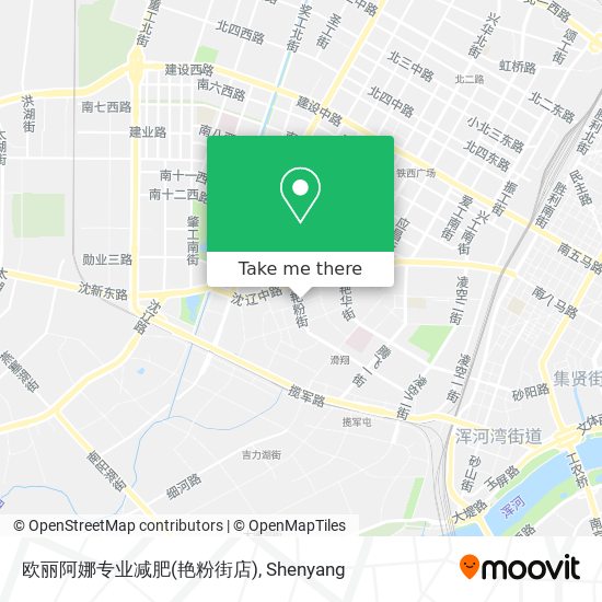 欧丽阿娜专业减肥(艳粉街店) map