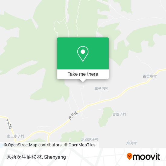 原始次生油松林 map