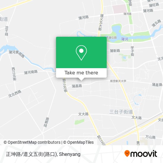 正坤路/道义五街(路口) map