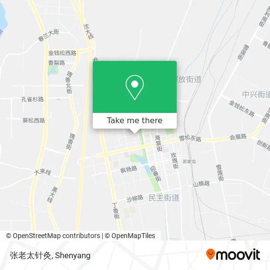 张老太针灸 map