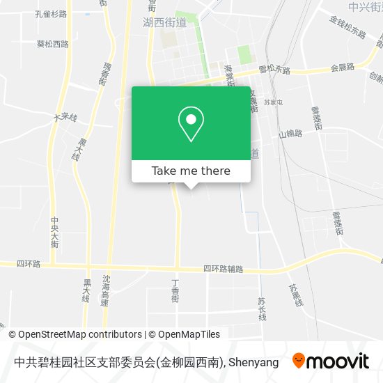 中共碧桂园社区支部委员会(金柳园西南) map