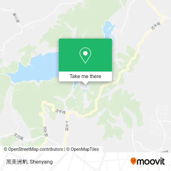 黑美洲豹 map