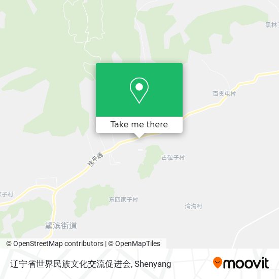 辽宁省世界民族文化交流促进会 map