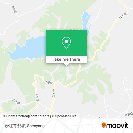 粉红背鹈鹕 map