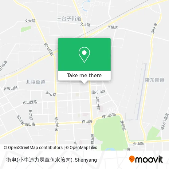 街电(小牛迪力瑟章鱼水煎肉) map