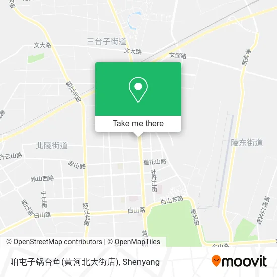 咱屯子锅台鱼(黄河北大街店) map