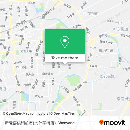 新隆嘉供销超市(大什字街店) map