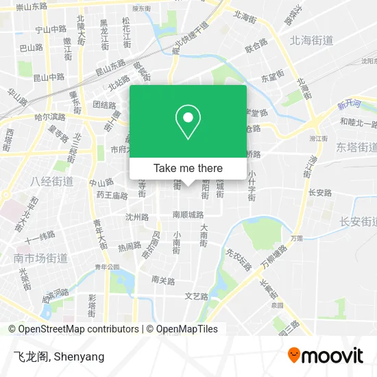 飞龙阁 map