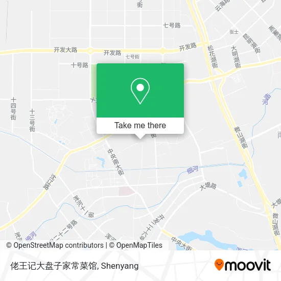佬王记大盘子家常菜馆 map