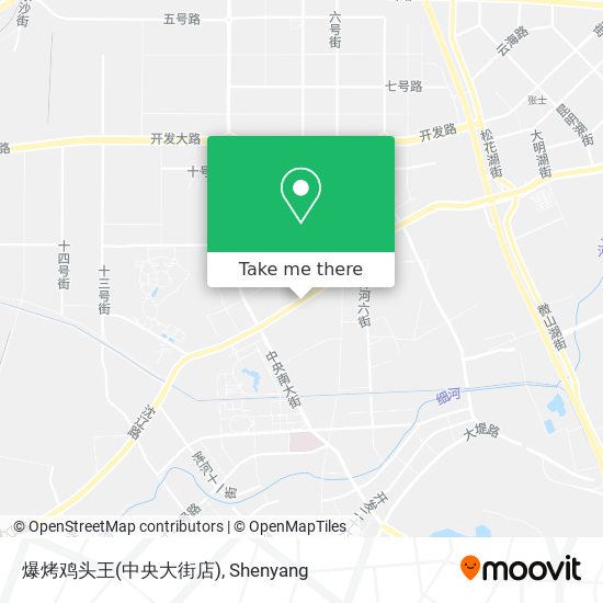 爆烤鸡头王(中央大街店) map