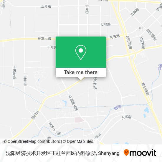 沈阳经济技术开发区王桂兰西医内科诊所 map