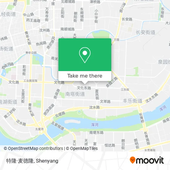 特隆·麦德隆 map