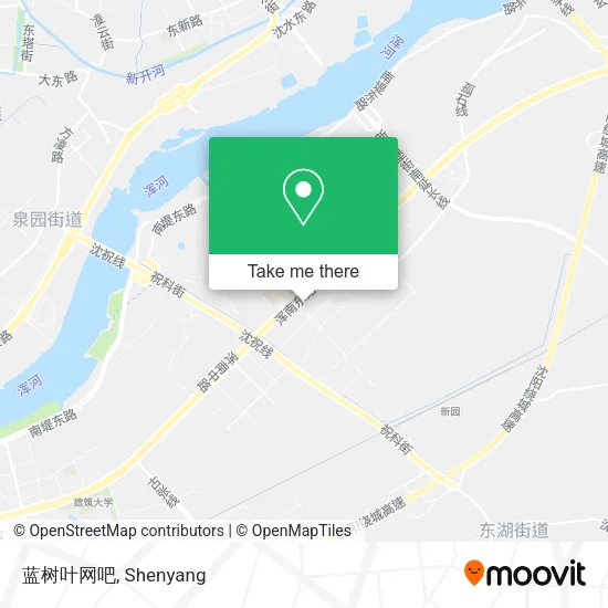蓝树叶网吧 map