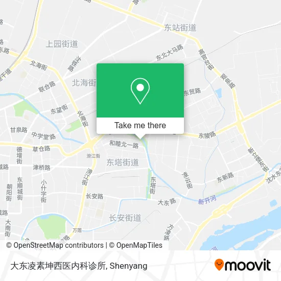 大东凌素坤西医内科诊所 map