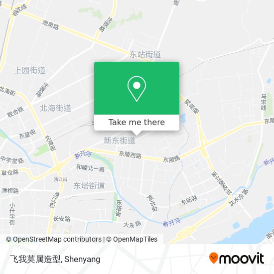 飞我莫属造型 map