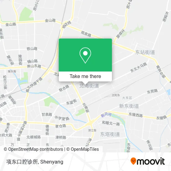 项东口腔诊所 map