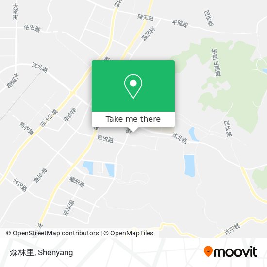 森林里 map
