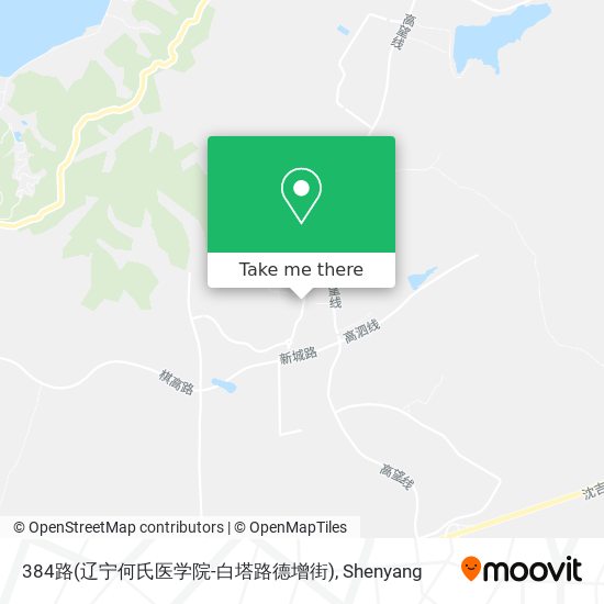 384路(辽宁何氏医学院-白塔路德增街) map