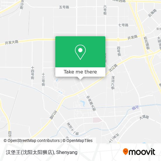 汉堡王(沈阳太阳狮店) map