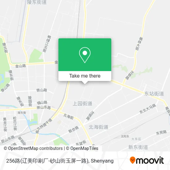 256路(辽美印刷厂-砂山街玉屏一路) map