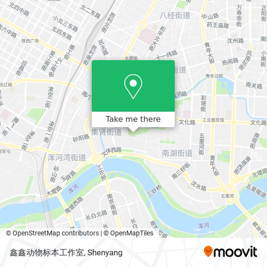 鑫鑫动物标本工作室 map